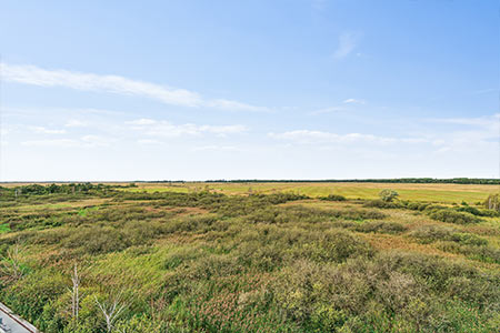 fælledkareen-mobil-header7